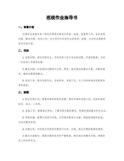 巡视作业指导书