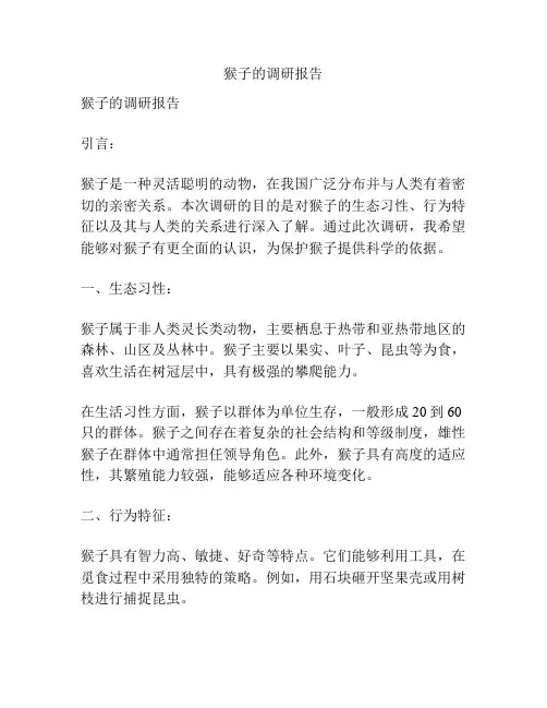 猴子的调研报告
