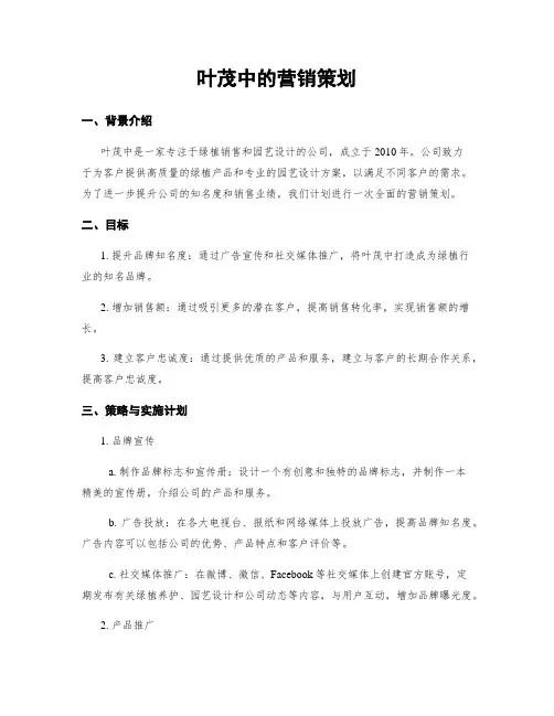 叶茂中的营销策划
