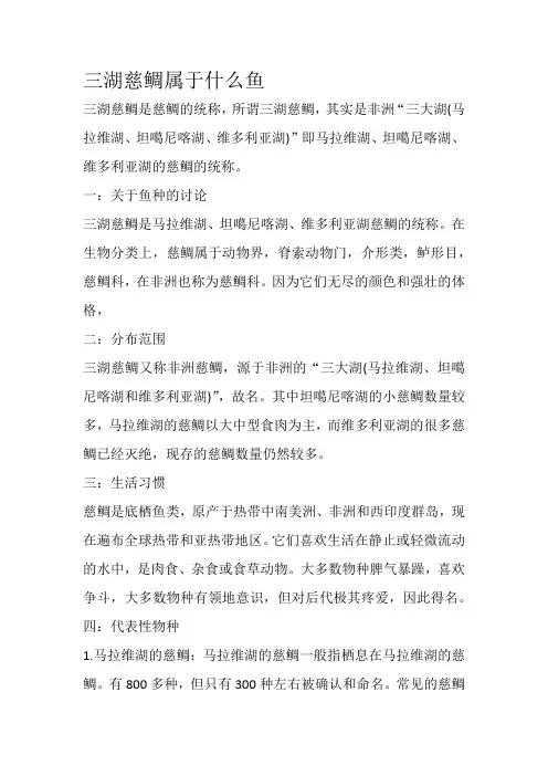 三湖慈鲷属于什么鱼