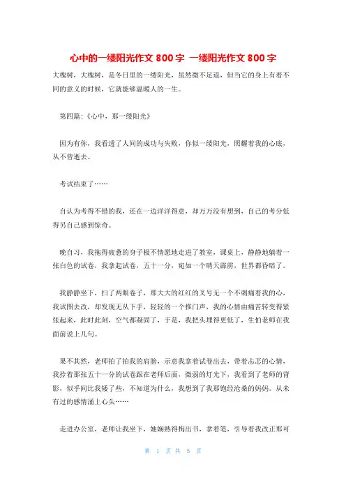 心中的一缕阳光作文800字 一缕阳光作文800字