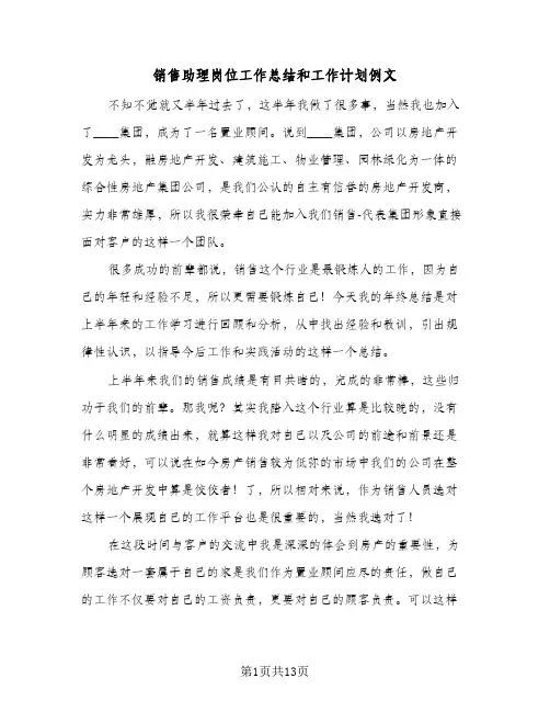 销售助理岗位工作总结和工作计划例文（4篇）