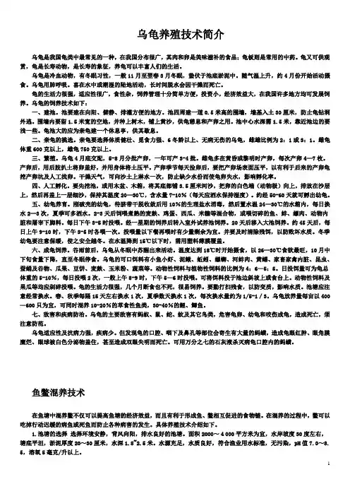乌龟饲养管理