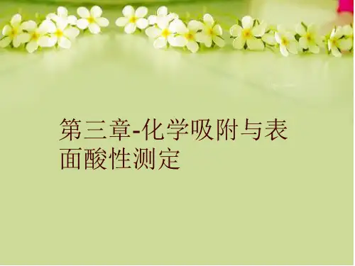第三章-化学吸附与表面酸性测定