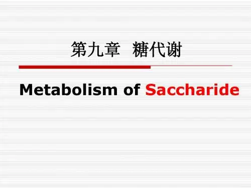 糖代谢