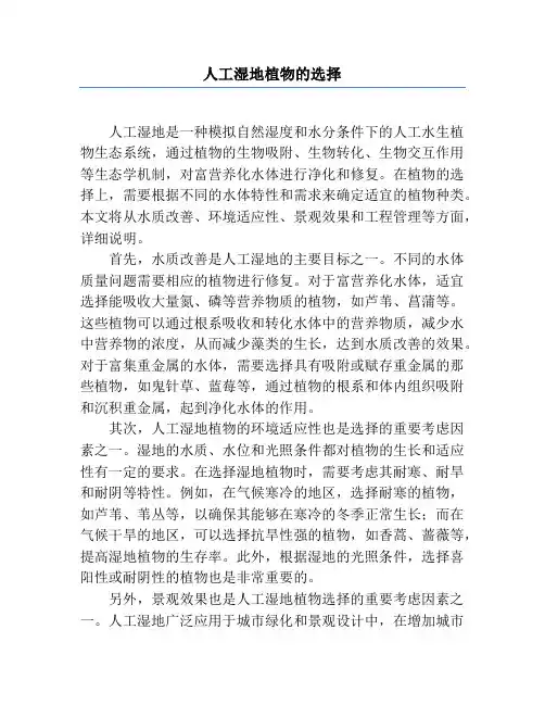 人工湿地植物的选择