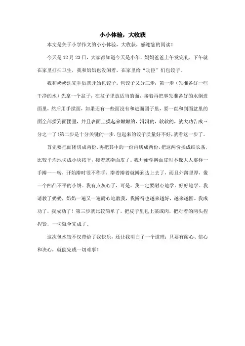 小小体验,大收获_小学作文