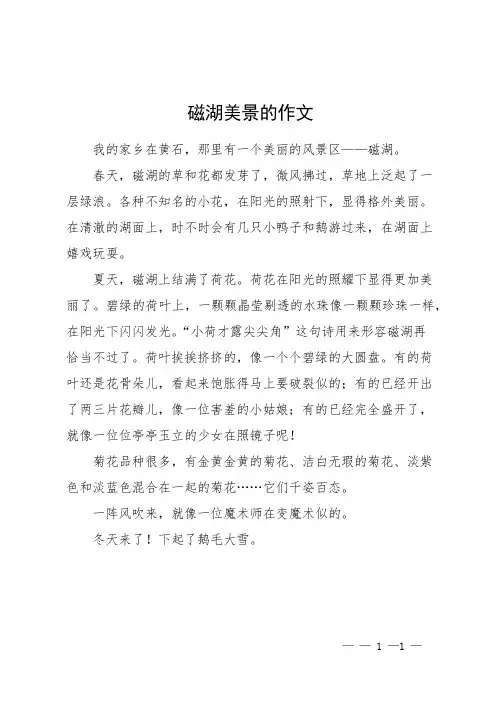 磁湖美景的作文