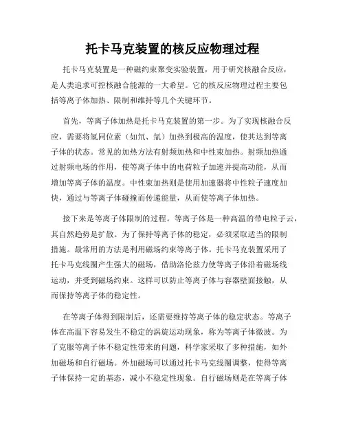 托卡马克装置的核反应物理过程
