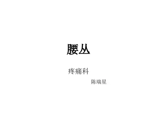 腰丛