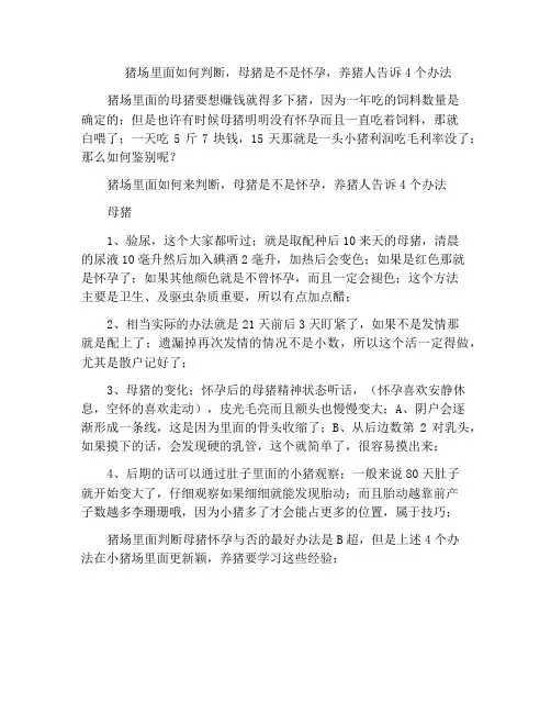 猪场里面如何判断,母猪是不是怀孕,养猪人告诉4个办法