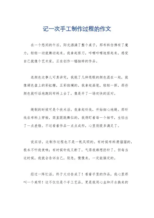 记一次手工制作过程的作文