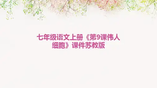 七年级语文上册《第9课伟人细胞》课件苏教版