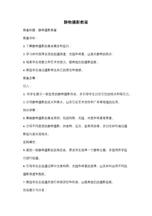 静物摄影教案