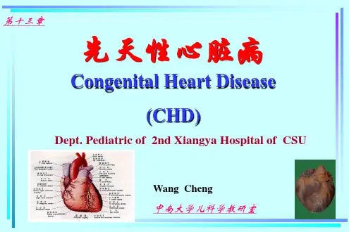 湘雅儿科精品课件-Congenital Heart Disease