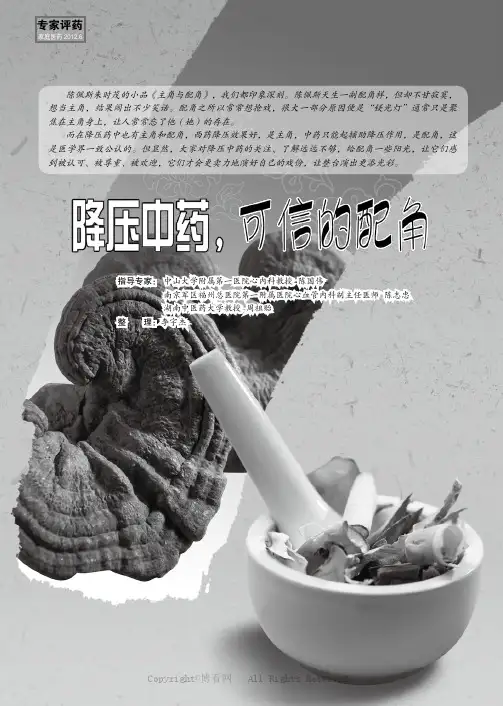 降压中药，可信的配角