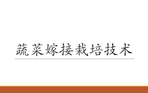 蔬菜嫁接技术