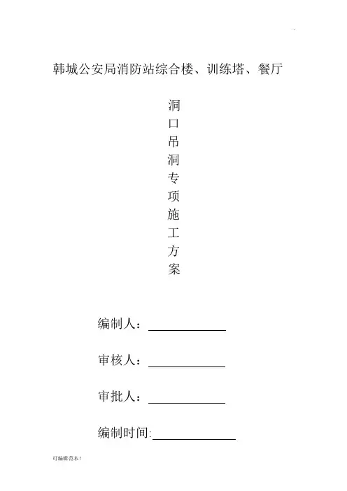 吊洞施工方案