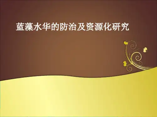蓝藻水华的防治及资源化研究