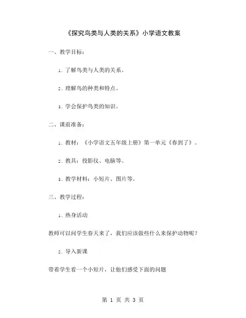 《探究鸟类与人类的关系》小学语文教案