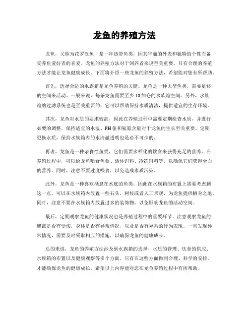 龙鱼的养殖方法