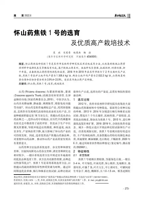 怀山药焦铁1号的选育及优质高产栽培技术