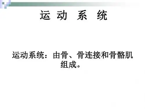 《人体解剖学》运动系统-骨与骨连接