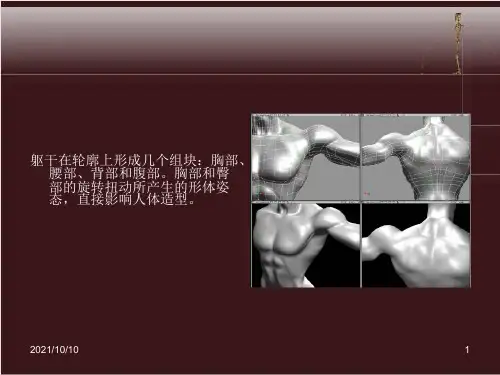 人体动态解剖 美术 漫画 3D 素描必学