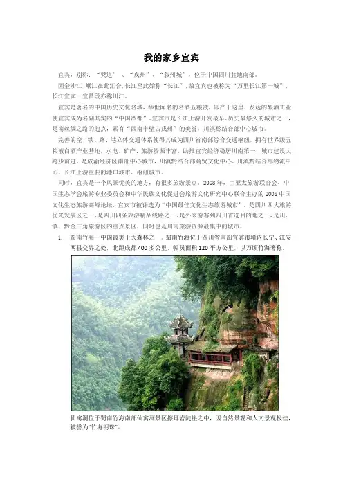 家乡宜宾介绍 - 副本