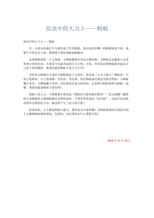 小学说明文 昆虫中的大力士——蚂蚁-精品