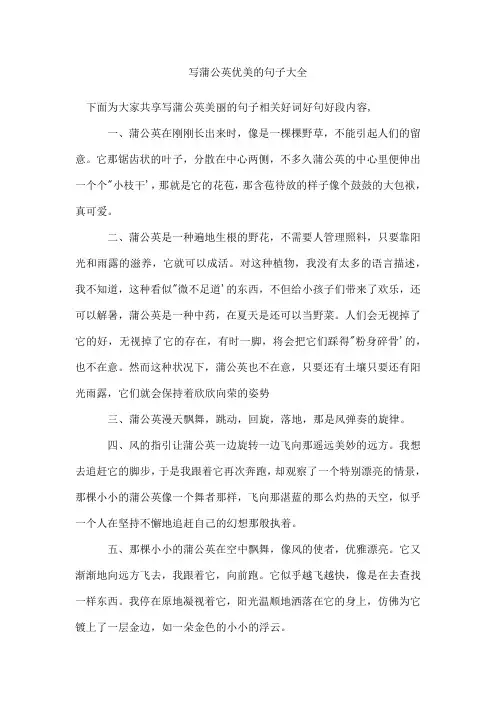 写蒲公英优美的句子
