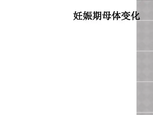 妊娠期母体变化