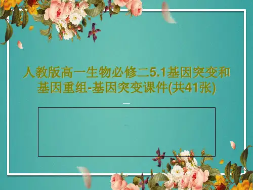 人教版高一生物必修二5.1基因突变和基因重组-基因突变课件(共41张)PPT文档共43页