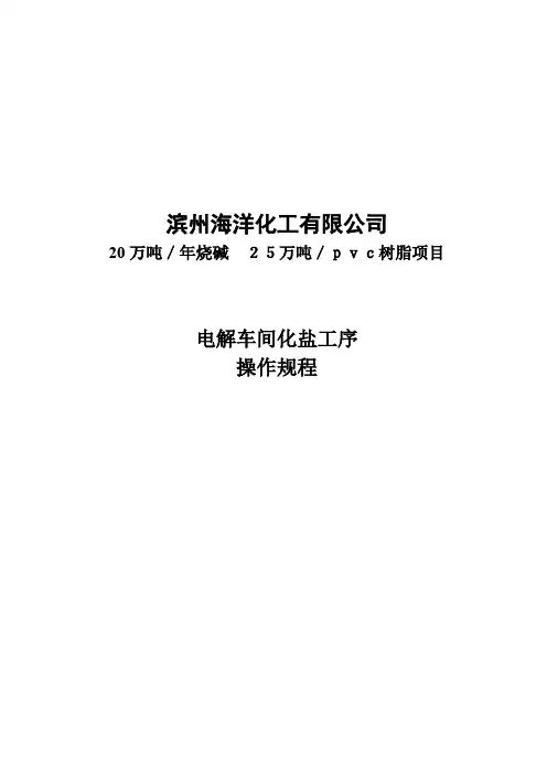 一次盐水操作规程