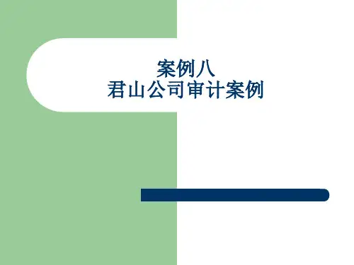 案例八君山公司审计案例