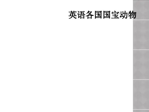 英语各国国宝动物