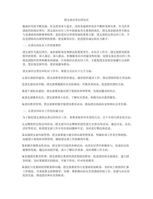 团支部自查自纠社区