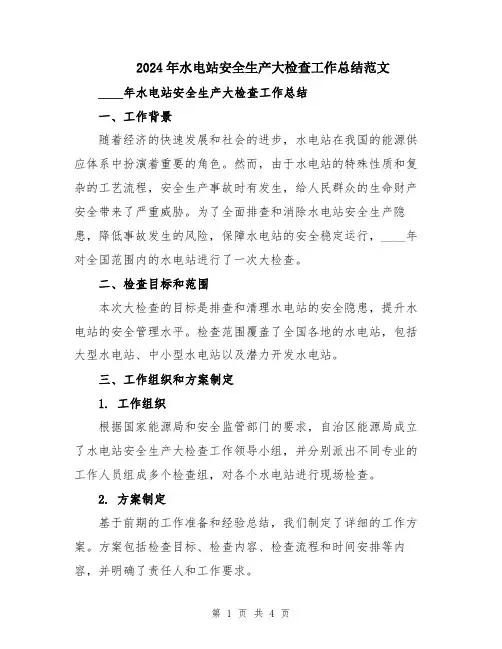 2024年水电站安全生产大检查工作总结范文