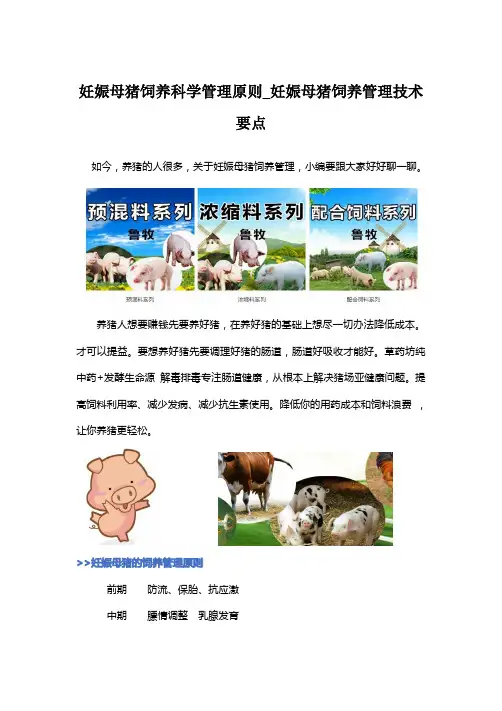 妊娠母猪饲养科学管理原则_妊娠母猪饲养管理技术要点