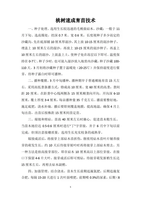 桃树速成育苗技术