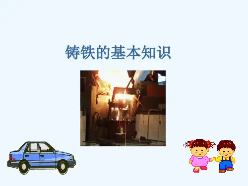 铸铁知识-金相