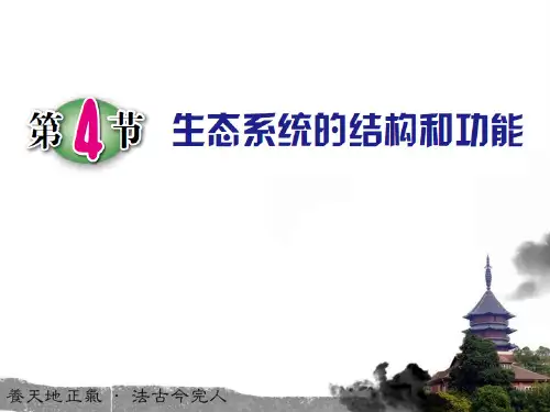 初中生物人教版《生态系统》_精品课件