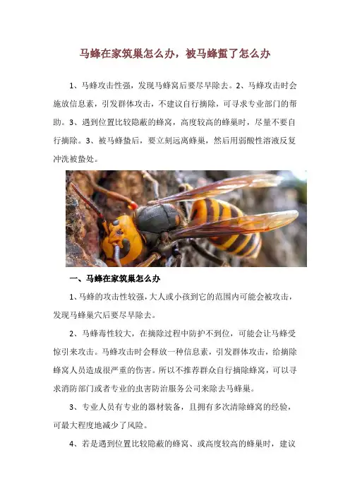 马蜂在家筑巢怎么办,被马蜂蜇了怎么办