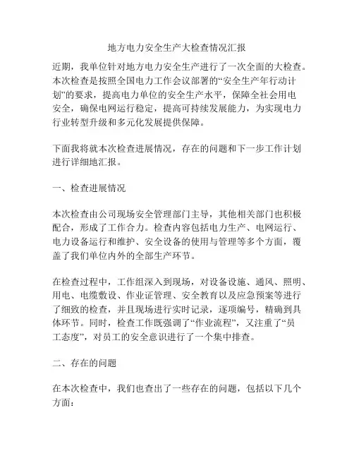 地方电力安全生产大检查情况汇报