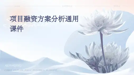 项目融资方案分析通用课件
