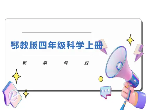 鄂教版四上科学9、观察蚂蚁