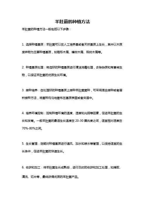 羊肚菌的种植方法