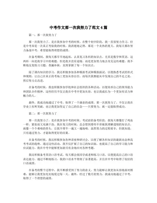 中考作文那一次我努力了范文4篇