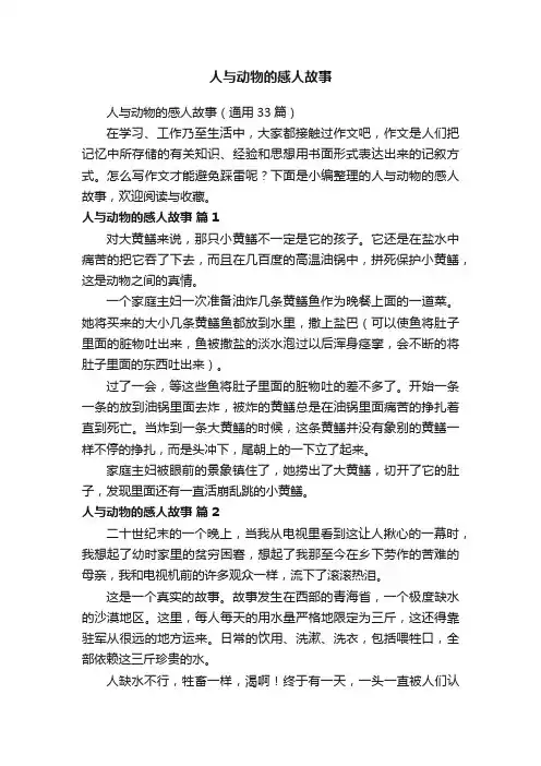人与动物的感人故事（通用33篇）