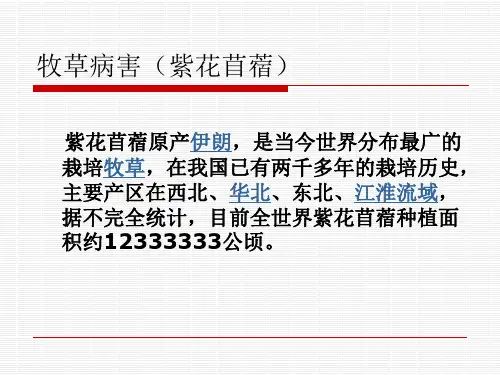 苜蓿病害